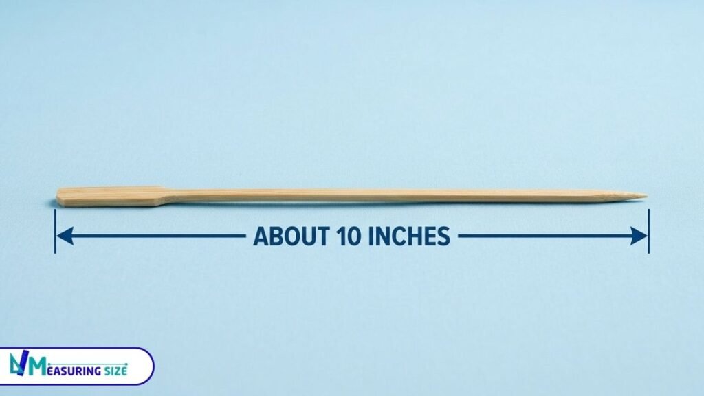 10 inch measurement