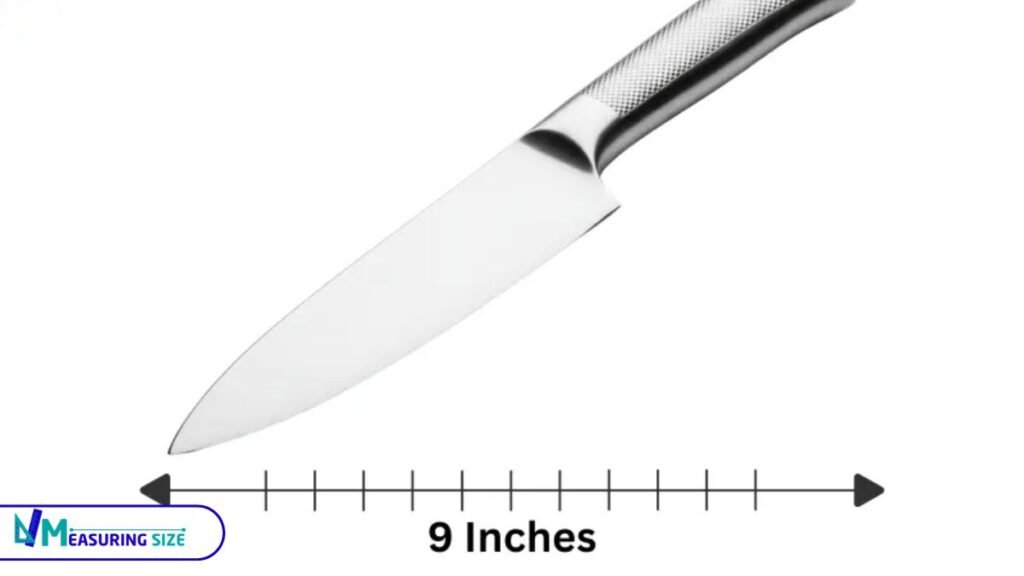 How long is 9 inches