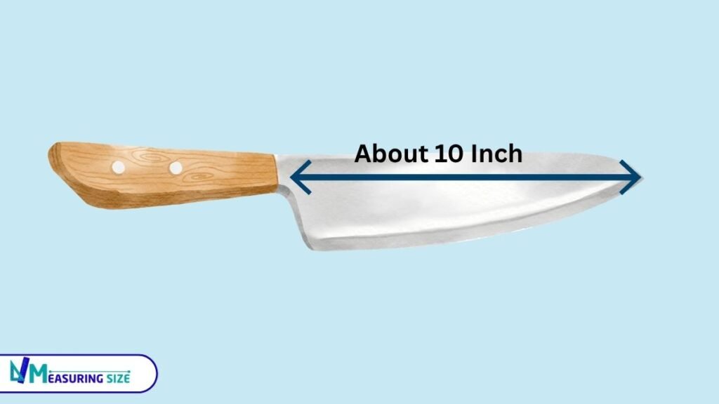 how long 10 inches is (1)