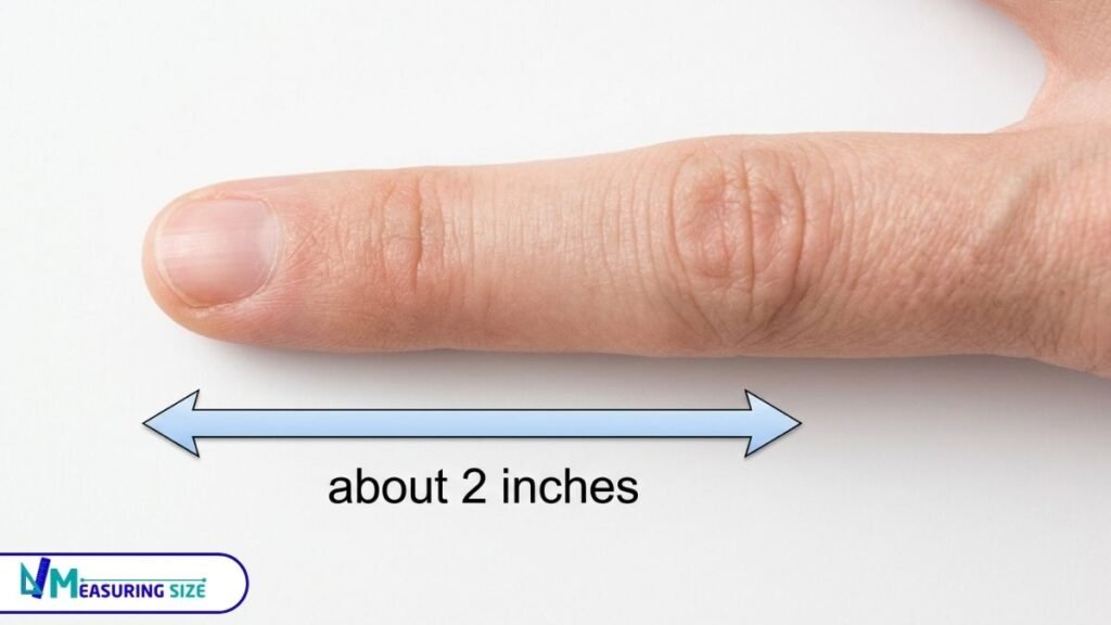 How long is 2 inches