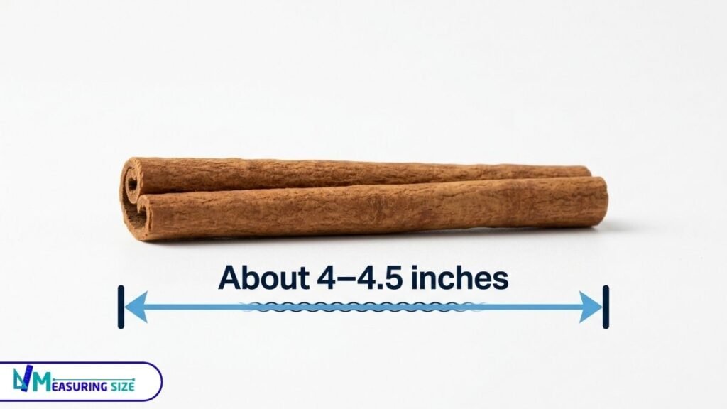 How big is 4 inches